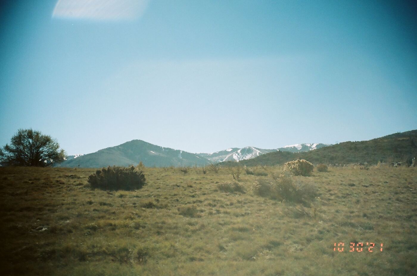 Photograph