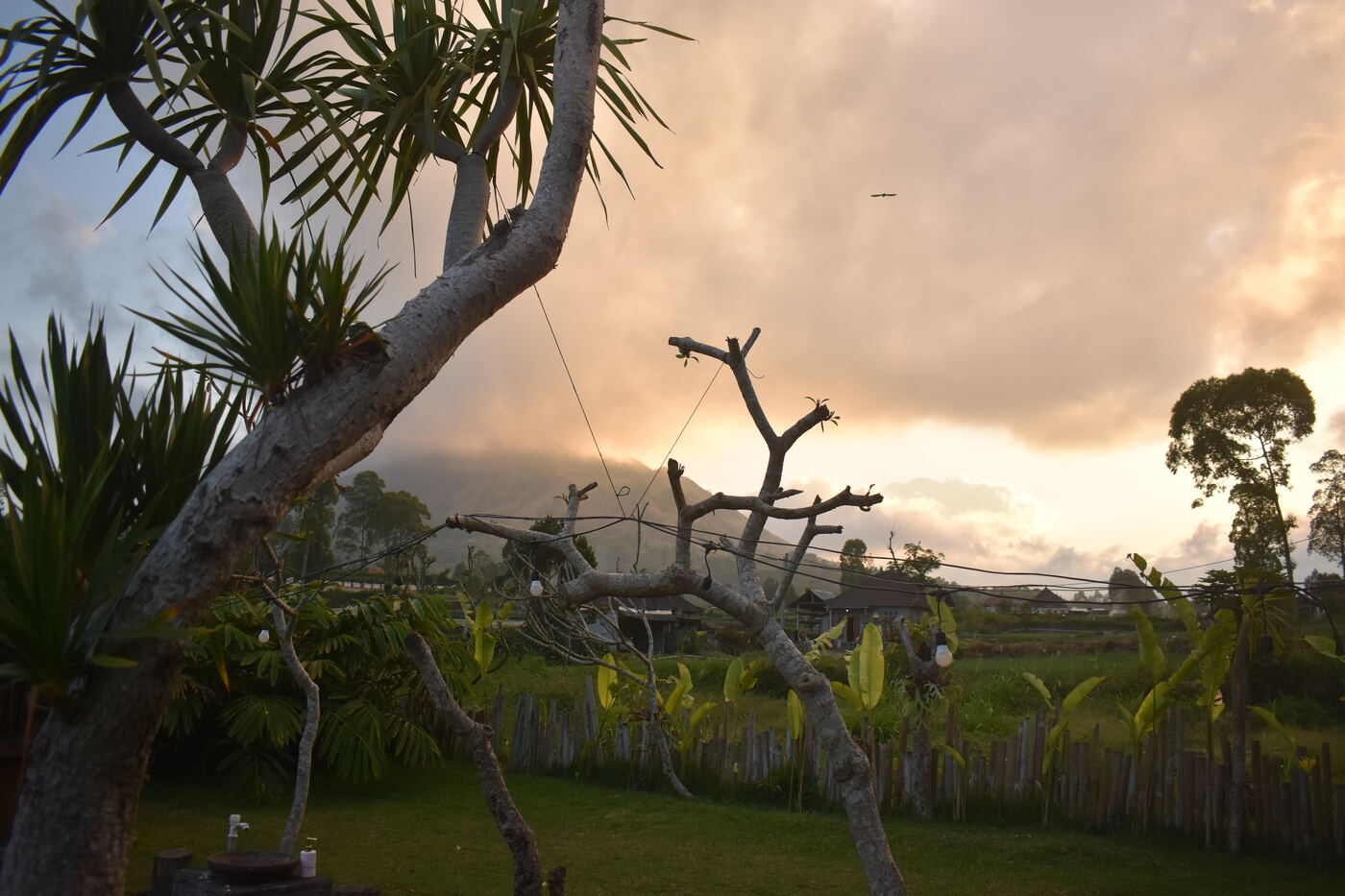 Homestay at a mountian