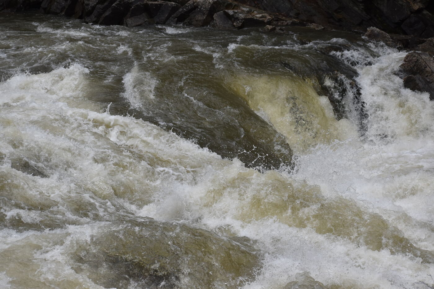 I took a walk and took photos during COVID
