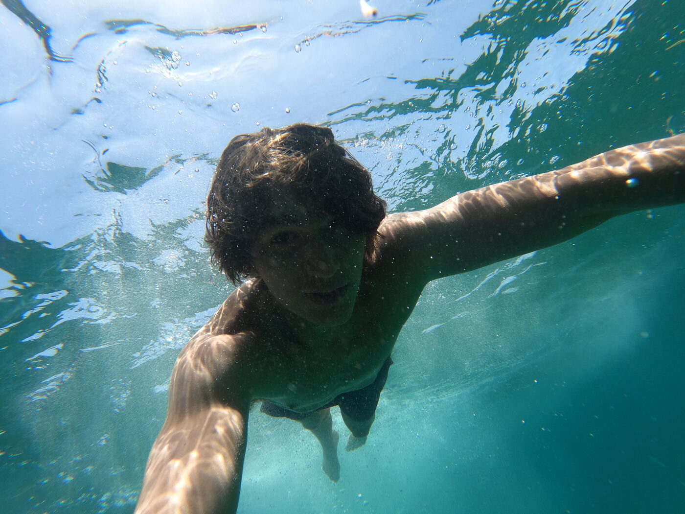 Photograph