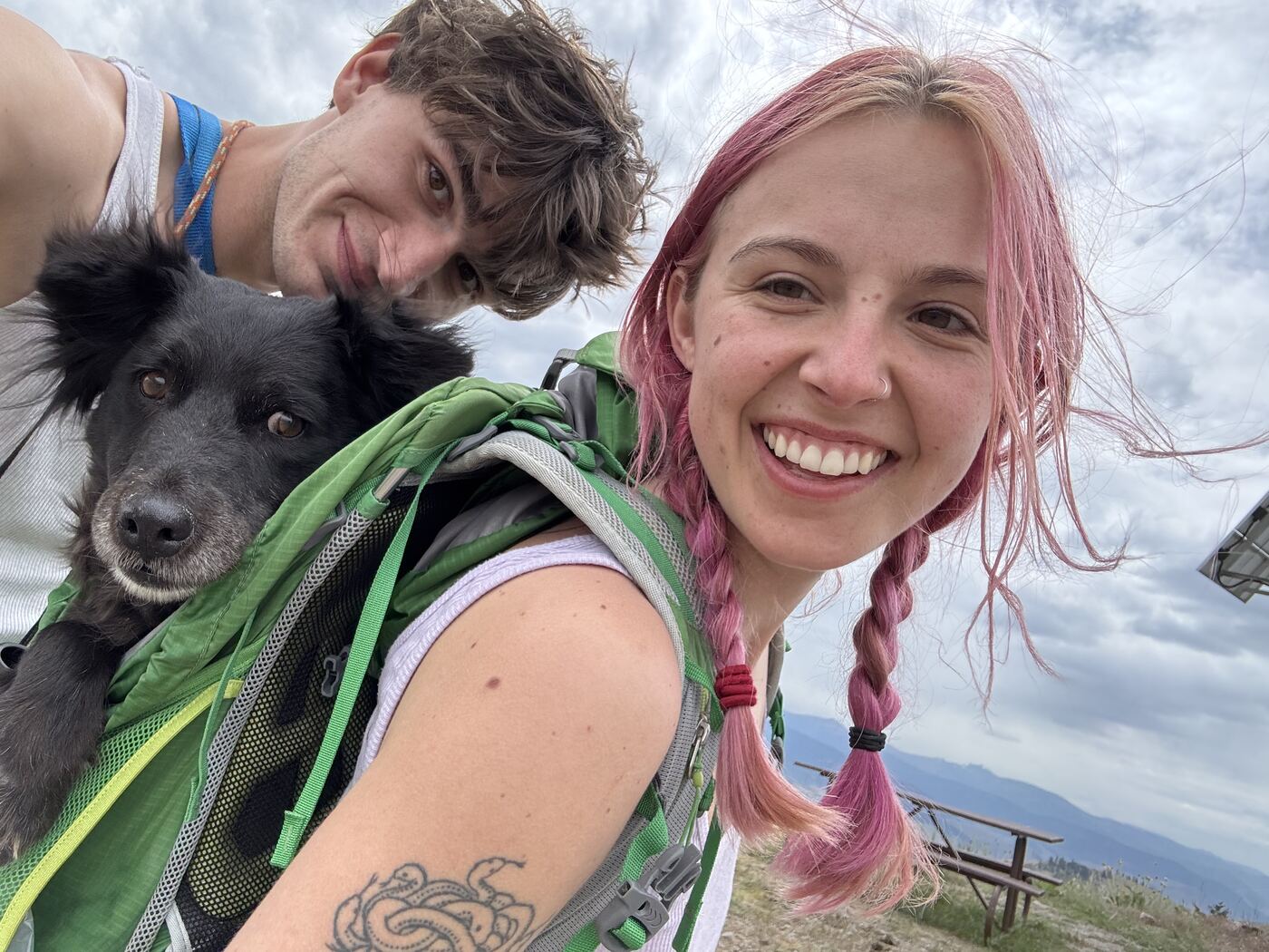 We put the dog in a backpack