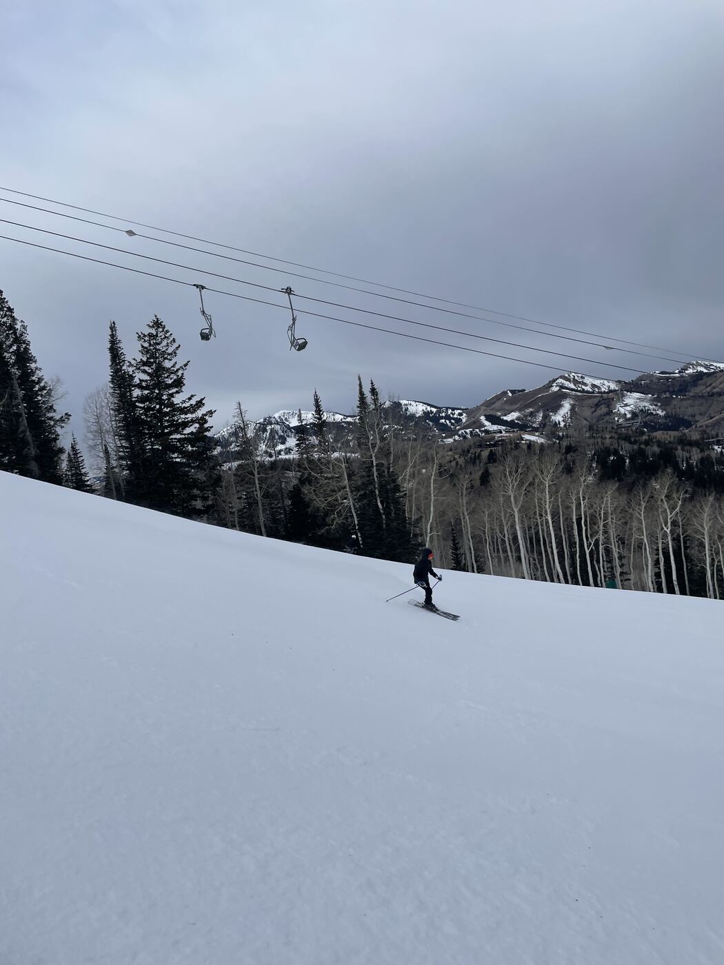 Dylan Learning to Ski