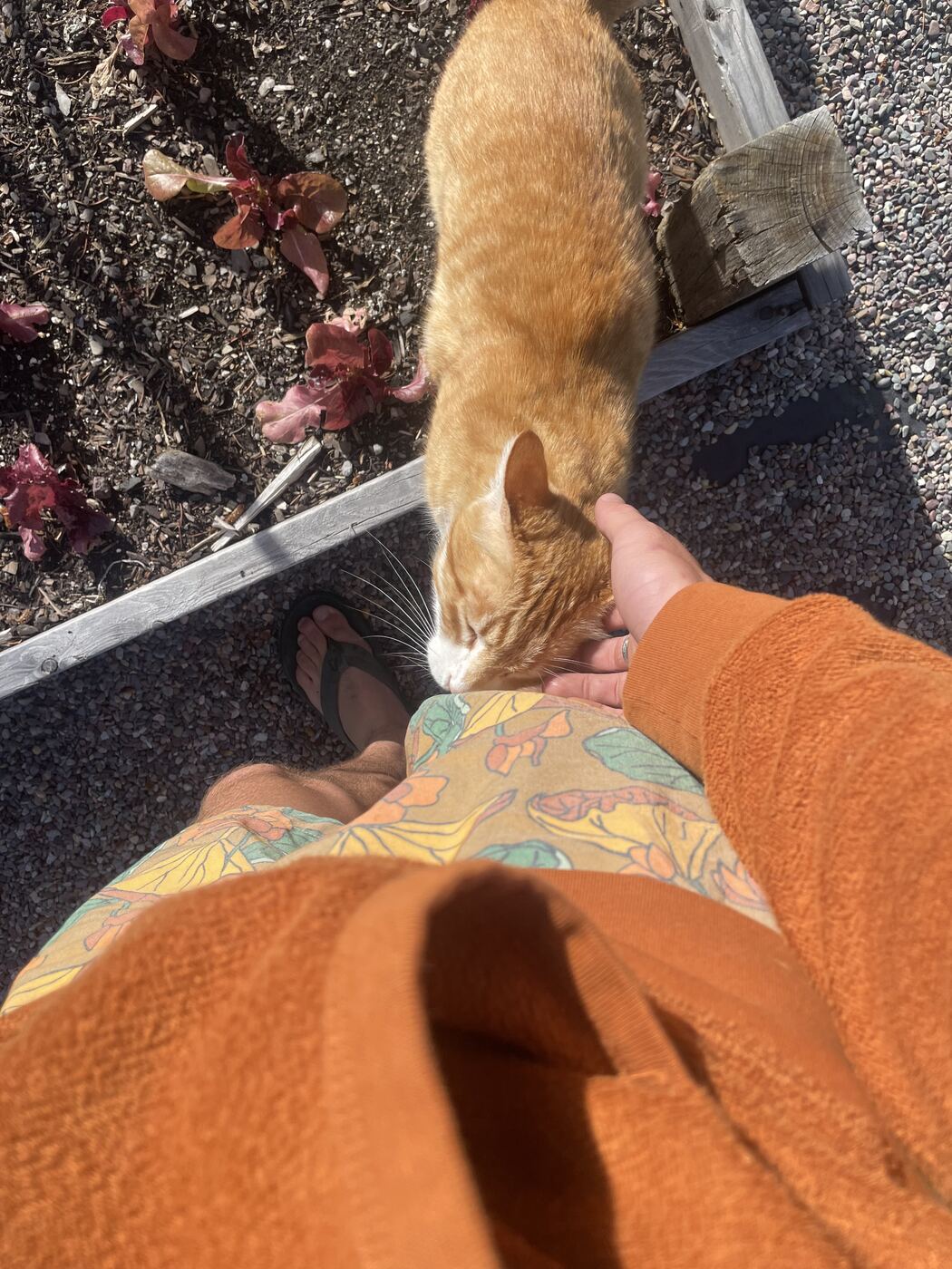 Meeting butters for the first time